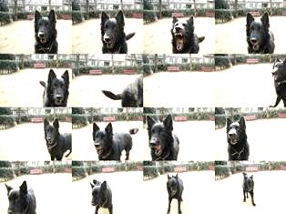 NOSOTROS SOMOS LOS PROTAGONISTAS